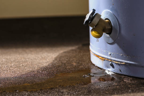 Best Water damage contractors near me  in Kittredge, CO