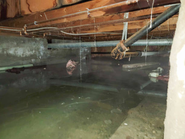 Best Water damage restoration insurance claims  in Kittredge, CO