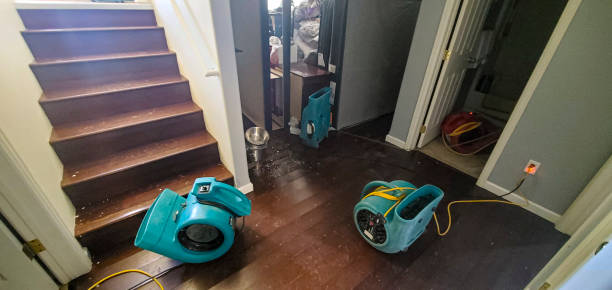 Best Sewage cleanup and water damage restoration  in Kittredge, CO
