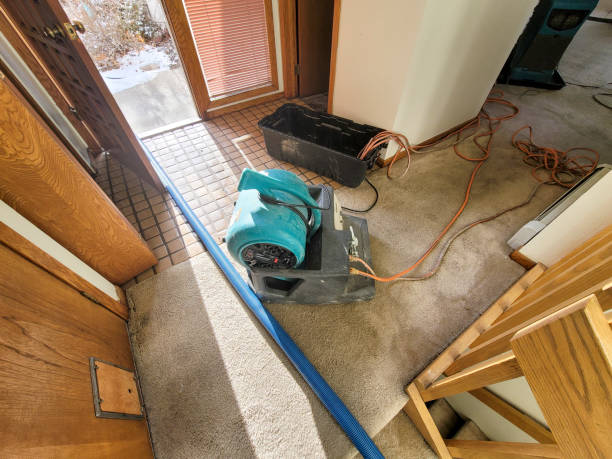  Kittredge, CO Water damage restoration Pros
