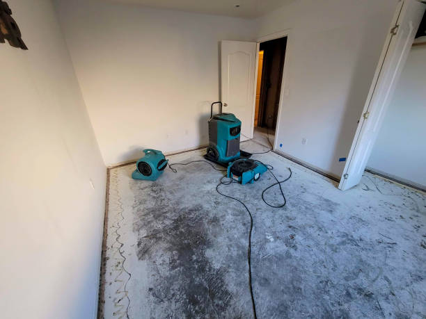 Best Fire Damage Restoration  in Kittredge, CO