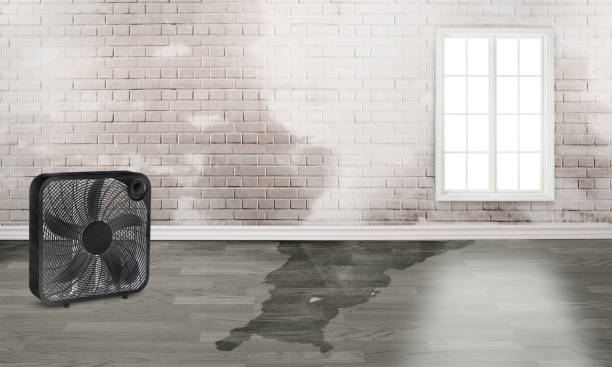 Best Fire Damage Restoration  in Kittredge, CO
