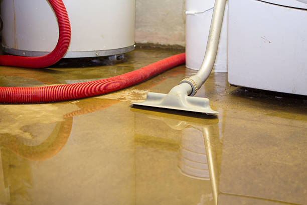Best Flood restoration services  in Kittredge, CO