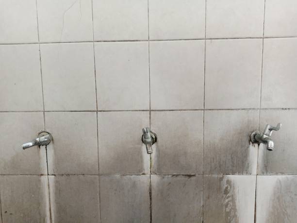 Best Water damage restoration near me  in Kittredge, CO