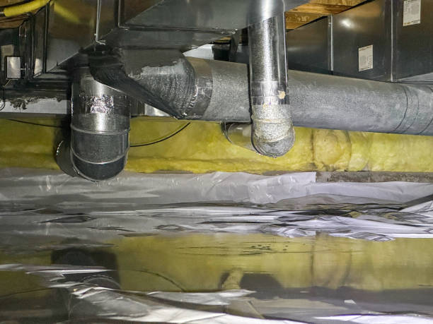 Best Local water damage restoration  in Kittredge, CO