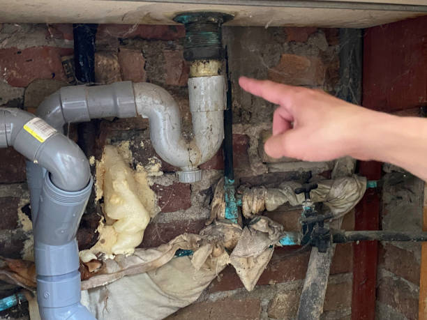 Best Carpet water damage restoration  in Kittredge, CO