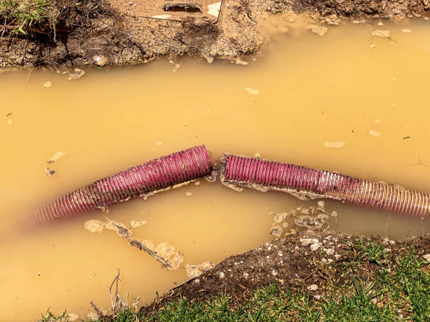 Water damage restoration insurance claims in CO